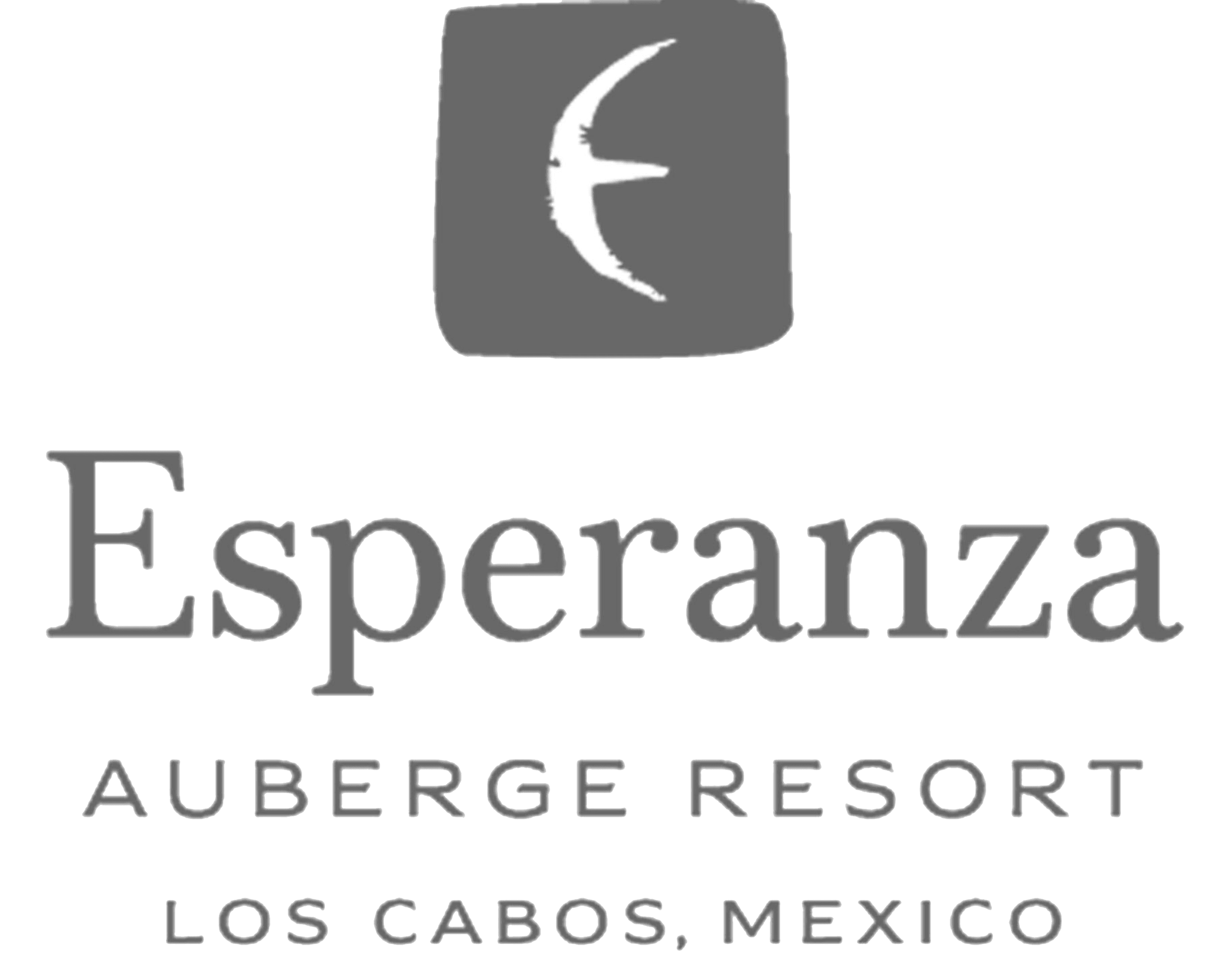 Logo1
