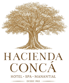 Logo1